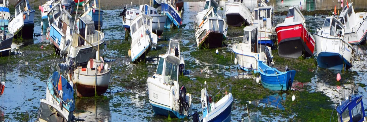 Image Installateur spa et jacuzzi Barfleur