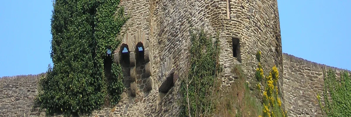 Image Installateur spa et jacuzzi Saint-Lô