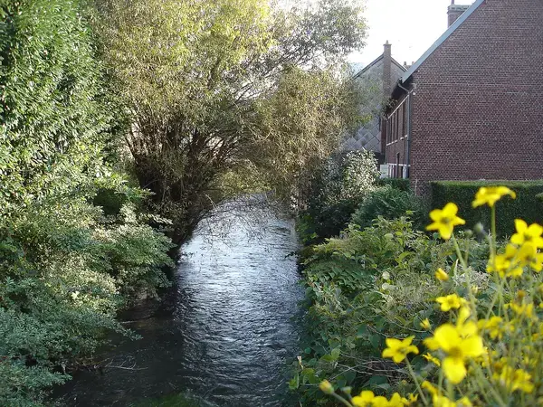 Installateur Spa Normandie Installateur spa et jacuzzi Déville-lès-Rouen