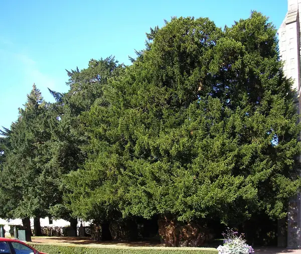 Installateur Spa Normandie Installateur spa et jacuzzi La Lande-Patry